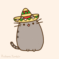 Cinco De Mayo Mexico GIF by Pusheen