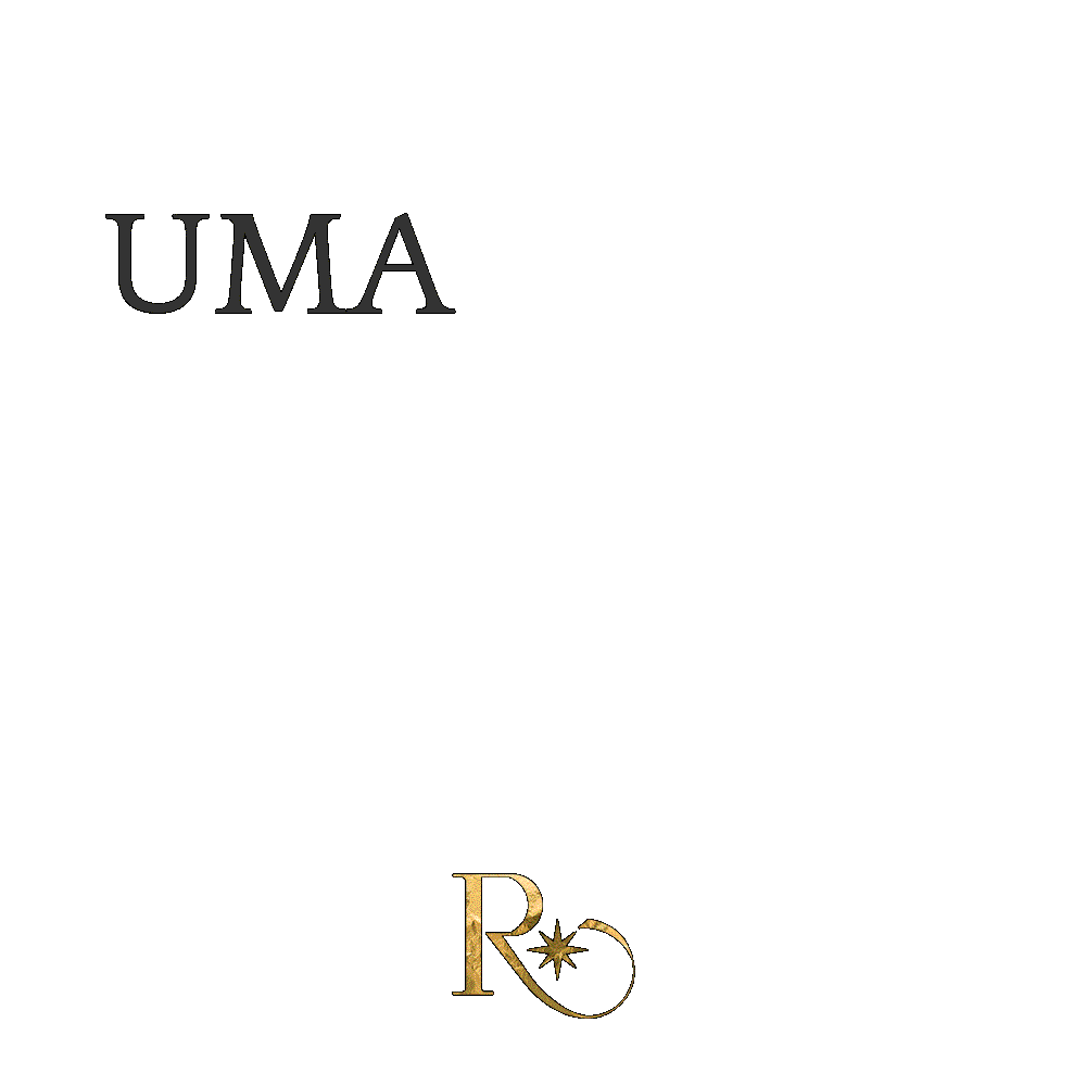 Realog Transportes Sticker