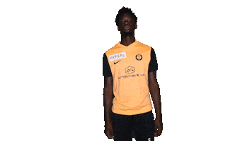 Sarr Sticker by Meyrin FC