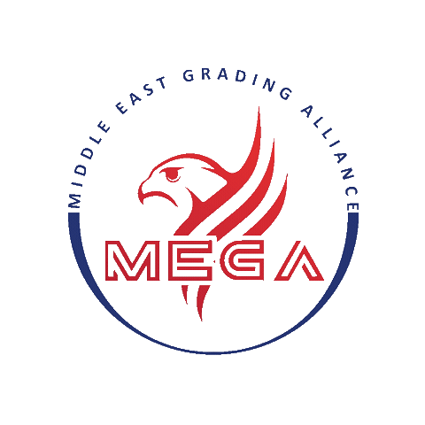 Megagrading Sticker by MEGA