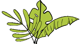 Jungle Sticker