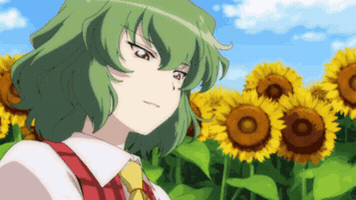 Yuuka Kazami GIF