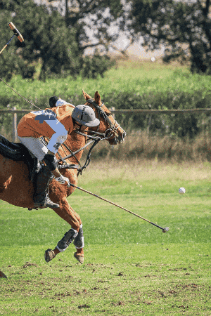 QUINTANA PHOTO GIF