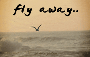 fly away water GIF