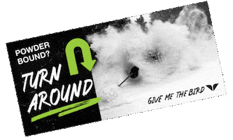 Snowbird Ski Resort Sticker by Snowbird