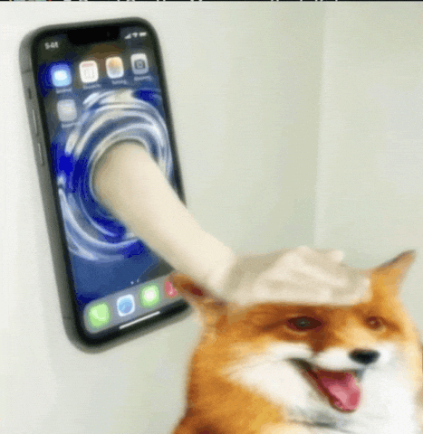Fox Phone GIF