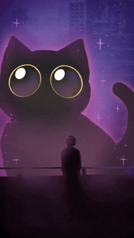 Black Cat GIF