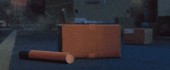 Dog GIF