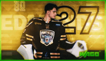 Ice Hockey Panthers GIF