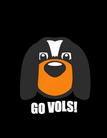 Tennessee Volunteers Dog GIF by Tennessee Athletics