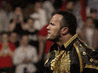 The Rock Eyebrow GIF