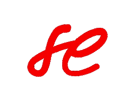 SE Wear Sticker
