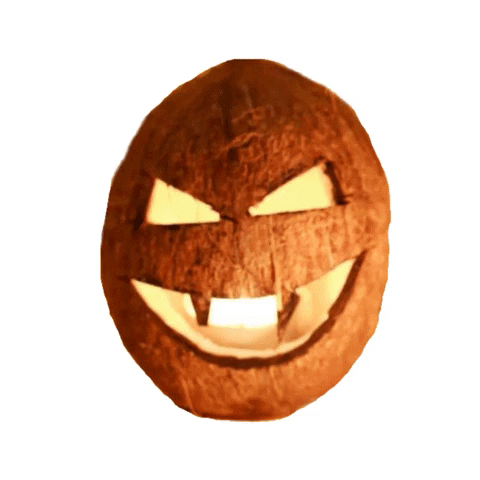 Coconut Halloween Snacktoronto Snackto Etssnacktoronto Letssnackto Toronto Yorkville GIF by Snack Toronto Social Media Agency