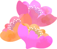 Flower Spring Sticker by Studio Behm