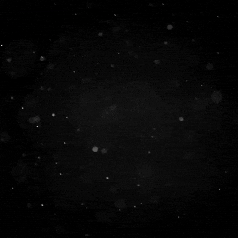 Impshopp GIF