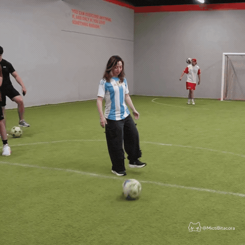 Seleccion Argentina Twitch GIF