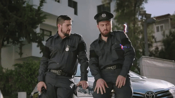 roneidesousa tudobom #tudobom staticandbeneltavori GIF