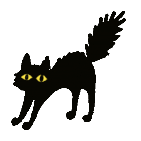 Cat 猫 Sticker