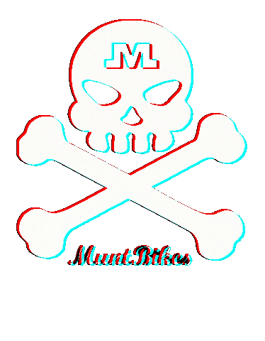 Bike Skull Sticker by muntbikes