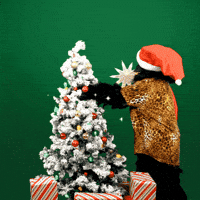 Fernando Camacho shared a GIF