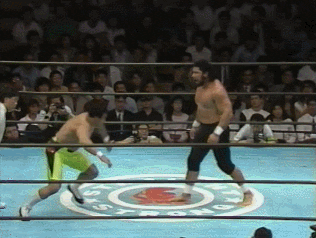 Wrestling GIF