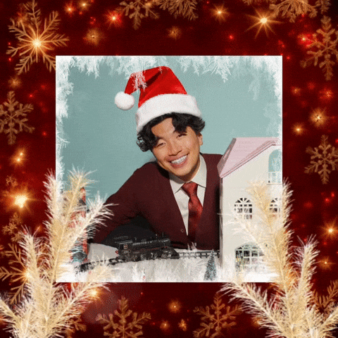 Christmas GIF by New 11