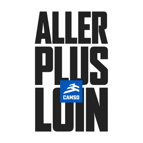 CamsoPowersports Sticker