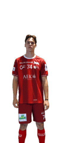 Unihockey Ritz Sticker