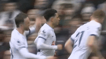 Happy Premier League GIF by Tottenham Hotspur