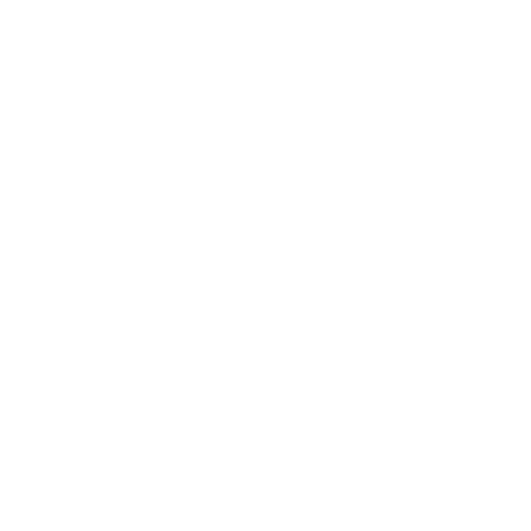 NAPJITSU Sticker