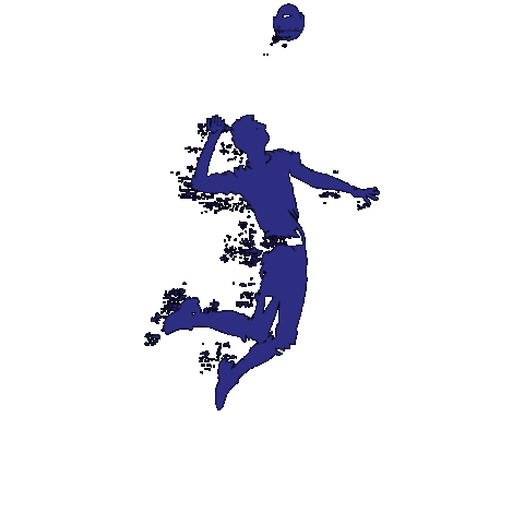 Tsd Sticker by TS Durlach Volleyball