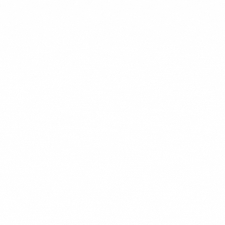 Nzs GIF
