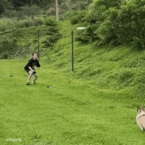 Catch Get GIF
