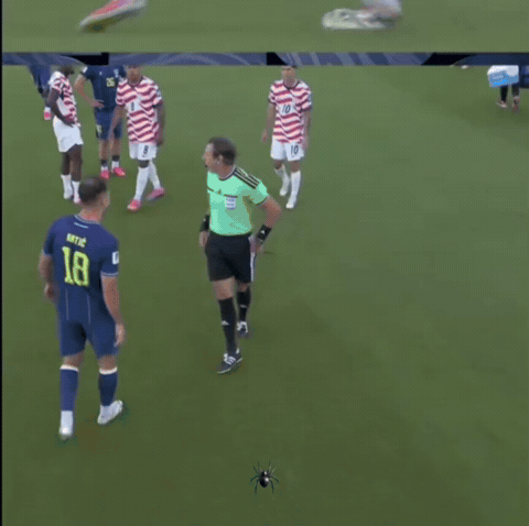 Fifa Messi GIF