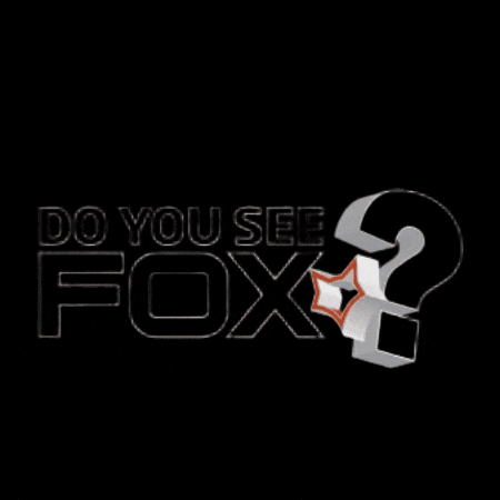 Lija GIF by FOX electronics