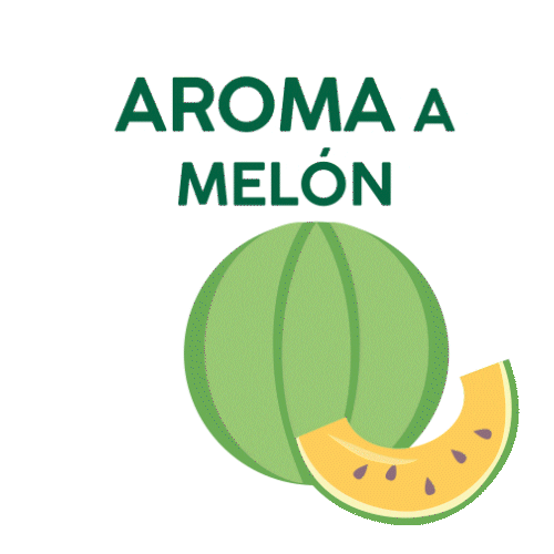Melon Aroma Sticker by VcsFarma