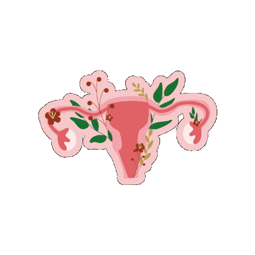 Aura Herbals Sticker