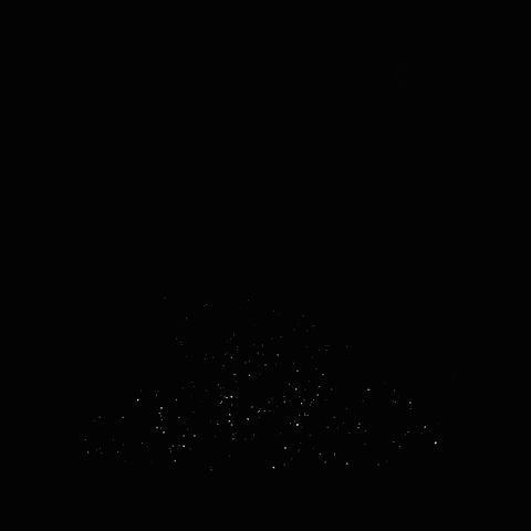 White Owl Digital Agency GIF by The Wise Owl