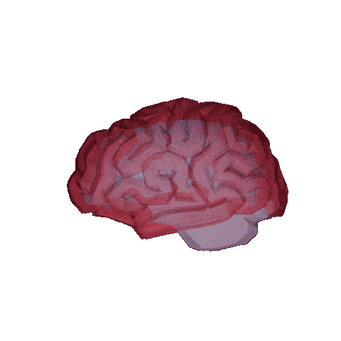 Brain Sticker