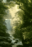 Le jeu du GIF ! - Page 6 200.gif?cid=af3708f3v4z4tj85d2vtuwbr9e54eq1zu43dzytc3heom183&rid=200