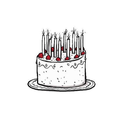 Celebrating Happy Birthday Sticker by Zdravotní klaun