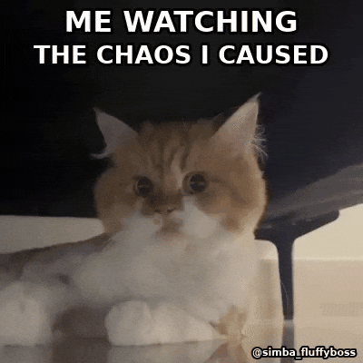 Reaction Gif GIF