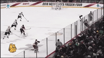 Goal Hockey GIF by Kathryn A. Martin Library