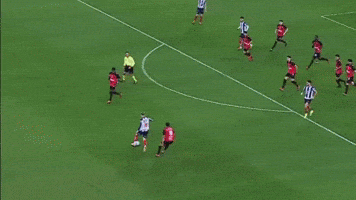 Rayados GIF