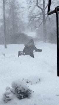 When You Love Snow...