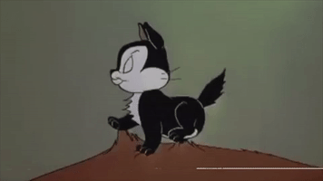 Spectrum_wav cat loony tunes GIF
