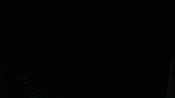 SocialFlixx GIF