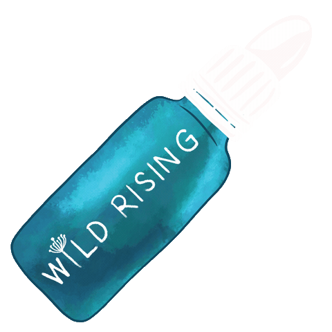 Moonlight Stay Wild Sticker