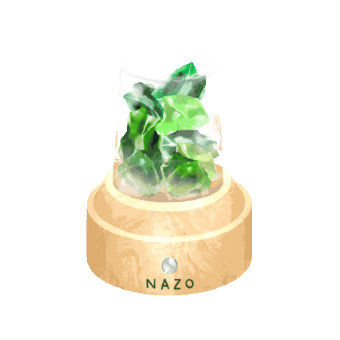 NAZO Sticker