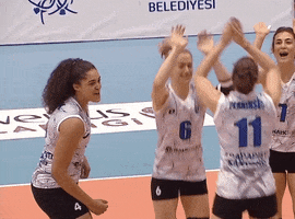 Celeste Plak Volleyball GIF by Aydın Büyükşehir Belediyespor